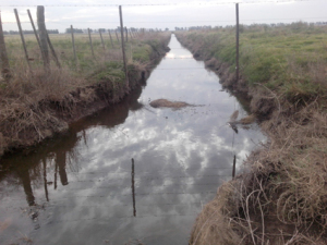 ???????????????????????????????