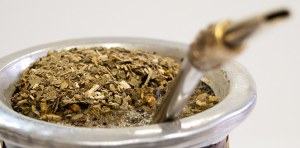 Mate