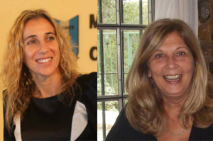 EleccionesLeones
