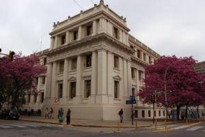 fileImagen (1)