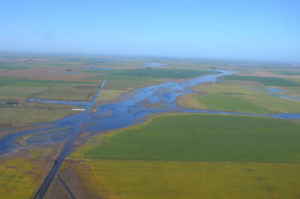 Lablanqueada