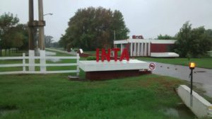 inta