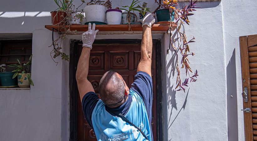 Dengue: confirman el primer caso autóctono en la provincia y piden reforzar controles