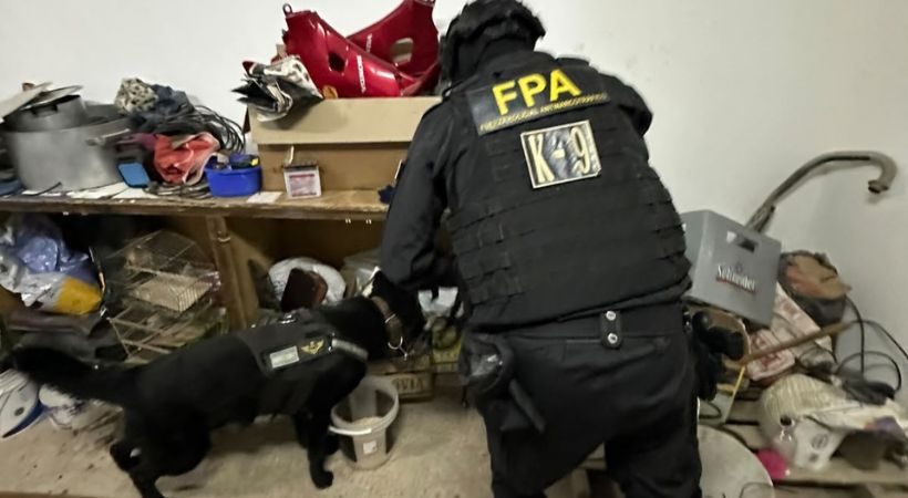Cuatro detenidos y drogas secuestradas tras allanamientos de la FPA en Marcos Juárez